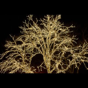 Гирлянды на дерево Клип Лайт - Спайдер 100 м, 900 шампань LED, черный СИЛИКОН, IP54 BEAUTY LED фото 2