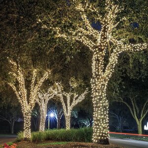 Гирлянды на дерево Клип Лайт Quality Light Cap 60 м, 600 теплых белых LED ламп с белым мерцанием, прозрачный ПВХ, IP65 BEAUTY LED фото 2