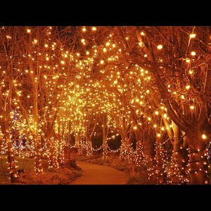 Гирлянды на деревья Клип Лайт - Спайдер 60 м, 600 желтых LED ламп, черный ПВХ, IP44 BEAUTY LED фото 1