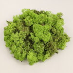 Декоративный мох Mica зеленый, 500 г