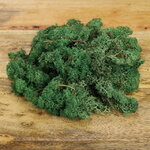 Декоративный мох Mica зеленый с блестками, 35 г