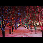 Гирлянды на дерево Клип Лайт - Спайдер 100 м, 900 разноцветных LED, черный СИЛИКОН, IP54
