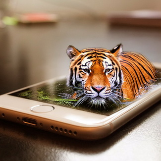 тигр смартфон