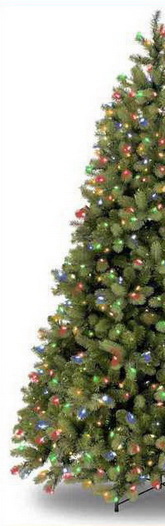 Классическая ель