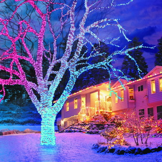 Украшаем деревья гирляндами