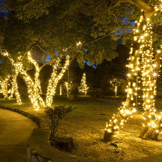 Украшаем деревья гирляндами