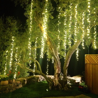 Украшаем деревья гирляндами