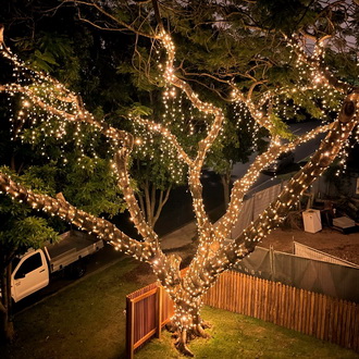 Украшаем деревья гирляндами