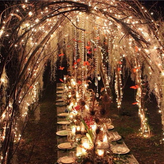 Украшаем деревья гирляндами