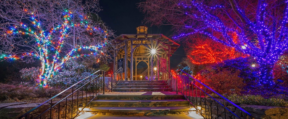 Украшаем деревья гирляндами