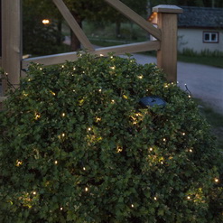 Украшаем деревья гирляндами