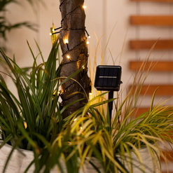 Украшаем деревья гирляндами