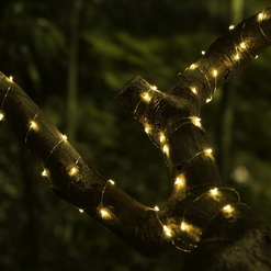 Украшаем деревья гирляндами