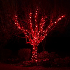 Украшаем деревья гирляндами