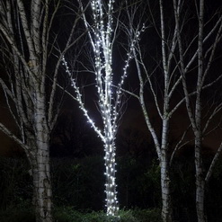 Украшаем деревья гирляндами