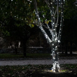 Украшаем деревья гирляндами