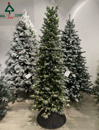 компактный