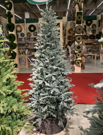 компактный