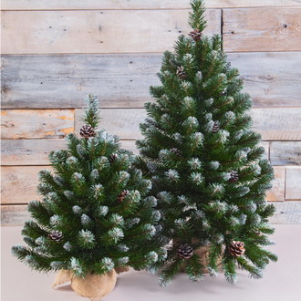 настольные