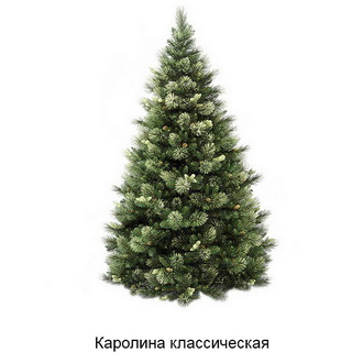 Самые Лучшие Новогодние Елки