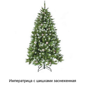 Лучшие Новогодние Елки Лучшие Новогодние Елки