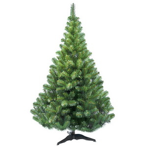 Клеопатра зелёная