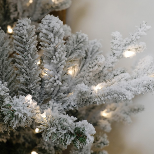 Елка Толга с лампочками