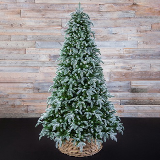 Елка Нормандия Пушистая заснеженная