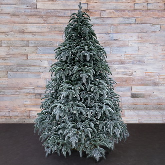 Елка Нормандия заснеженная