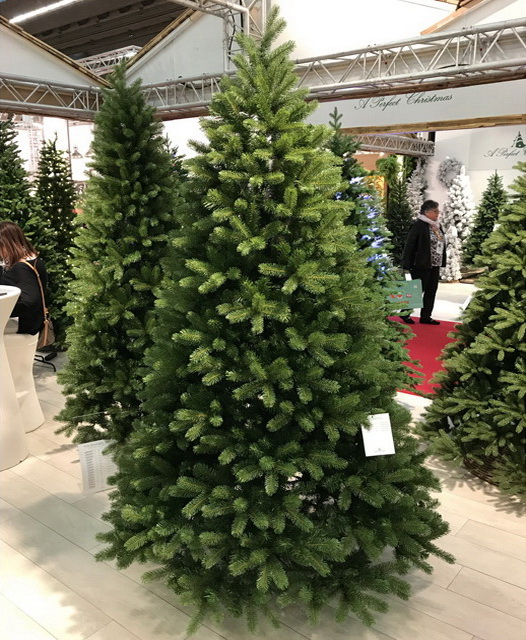 Елка Бейберри