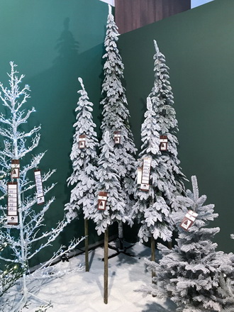 Елка Альпийская заснеженная