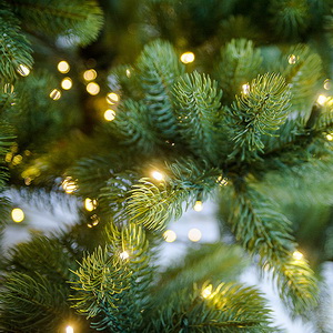 Русская красавица с лампочками