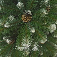 Заснеженность