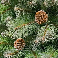 Заснеженность