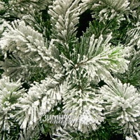 Заснеженность