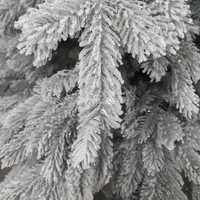 Заснеженность