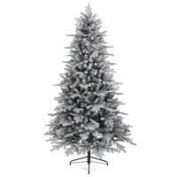 Заснеженность