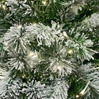 Заснеженность