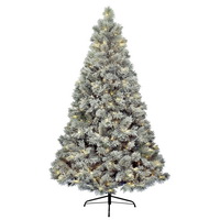 Заснеженность