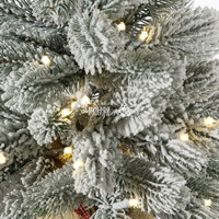 Заснеженность