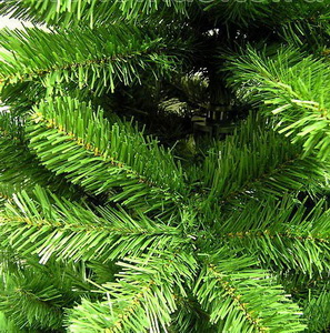 Санкт-Петербург