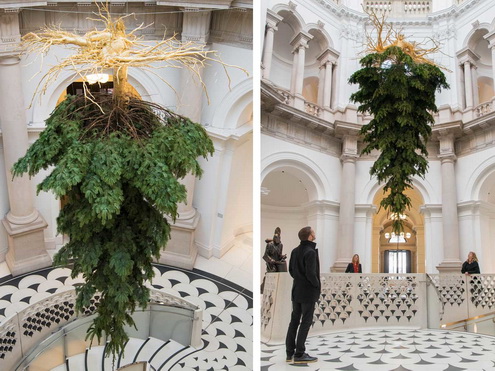 Елки Наоборот