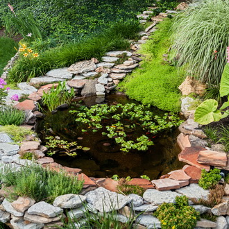 Как оформить пруд на садовом участке — виды и особенности