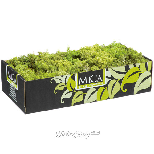 Декоративный мох Mica светло-зелёный, 50 г Edelman