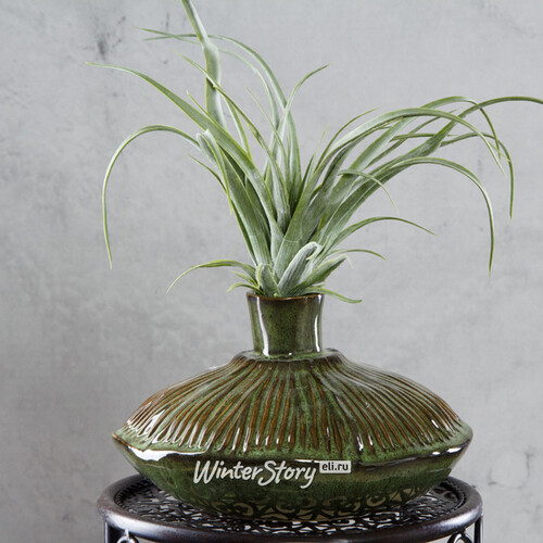 Керамическая ваза Корфу 19*11 см EDG