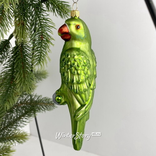 Стеклянная елочная игрушка Попугай Домиано 16 см, зеленый, подвеска GMC z.o.o.