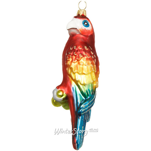 Стеклянная елочная игрушка Попугай Домиано 16 см, красный, подвеска GMC z.o.o.