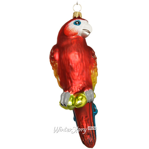 Стеклянная елочная игрушка Попугай Домиано 16 см, красный, подвеска GMC z.o.o.