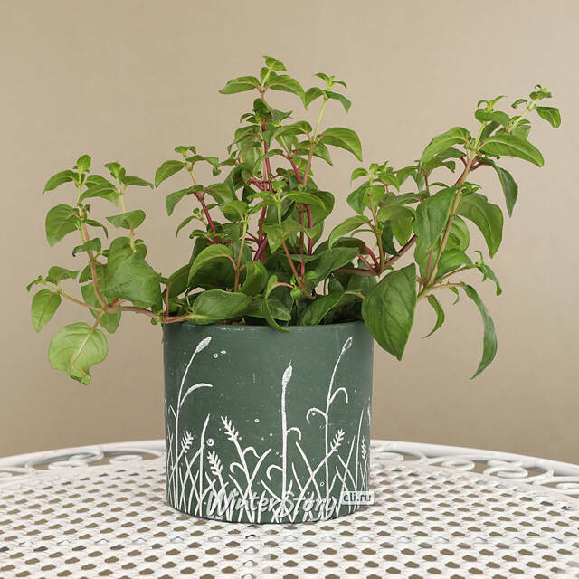 Керамическое кашпо Bongola 14*13 см Koopman