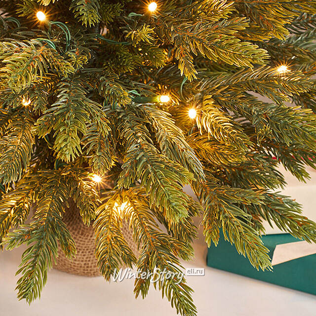 Елка настольная с гирляндой 60 см Вербье, 50 теплых белых LED ламп, контроллер, ЛИТАЯ 100% Winter Deco